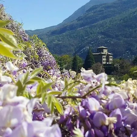 Lo Gnomo Sotto Al Glicine Apartman